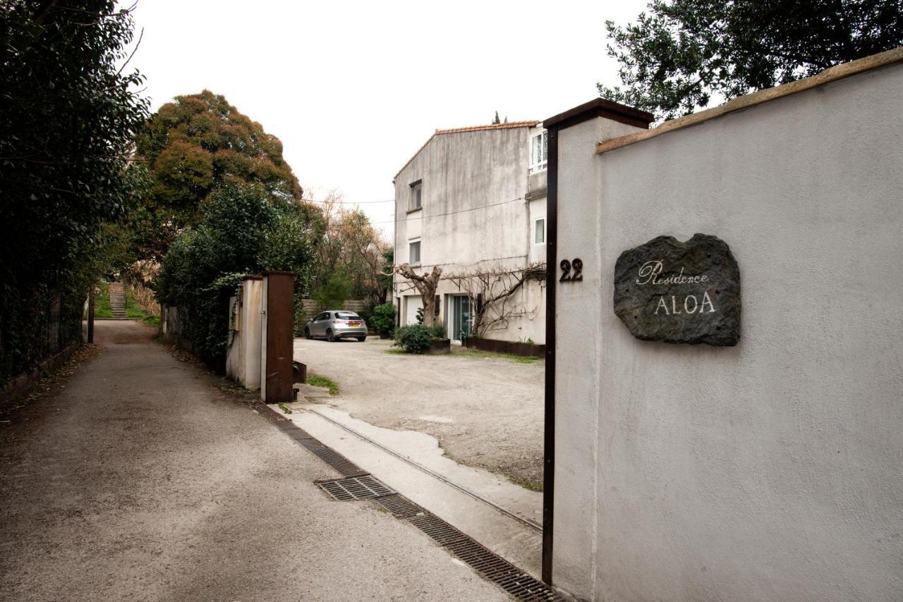 Appartement Aloa Καρκασόν Εξωτερικό φωτογραφία